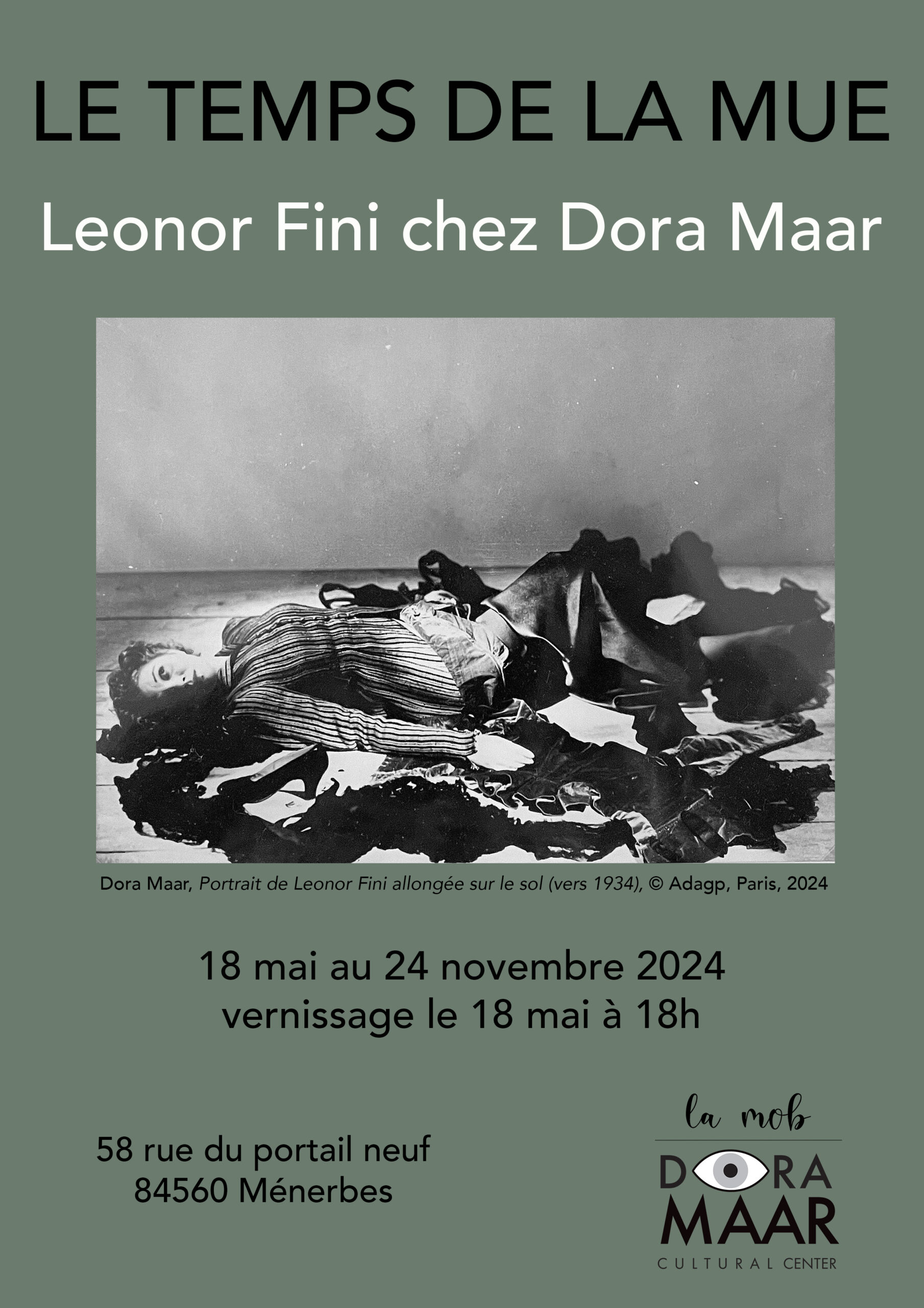 Exposition "Le temps de la Mue" - centre culturel Dora Maar