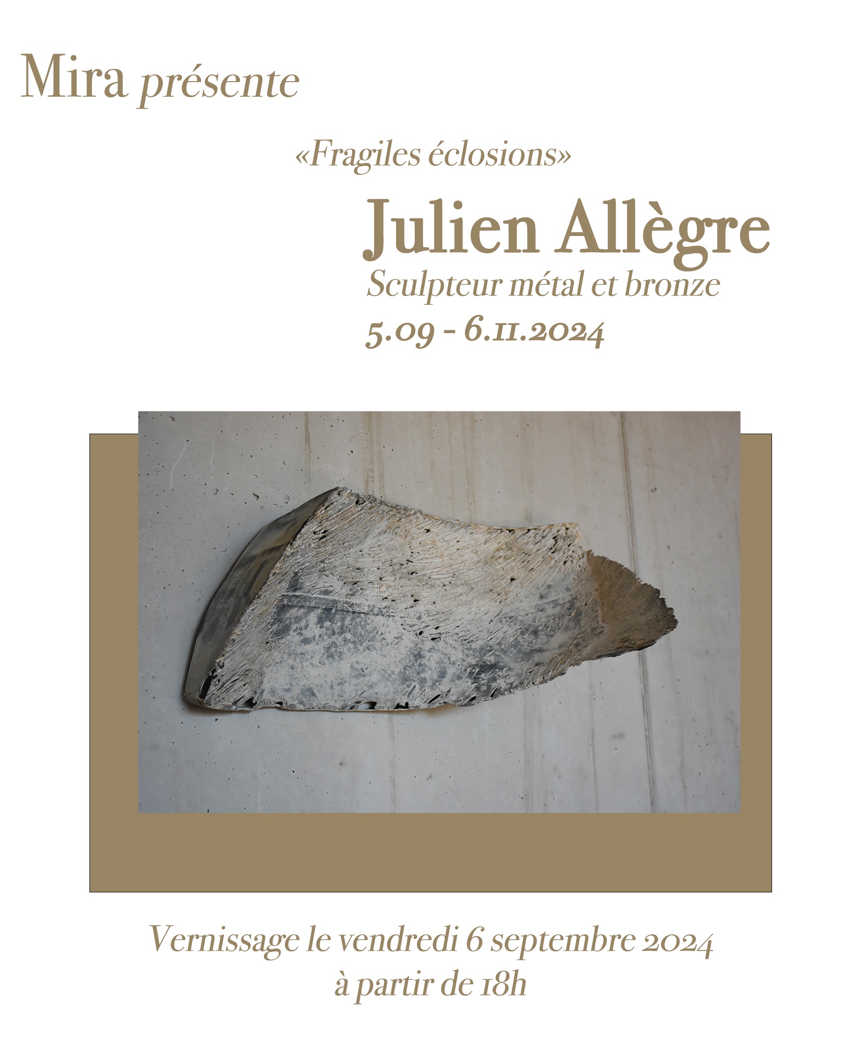 Galerie Mira/Expo Julien Allegre